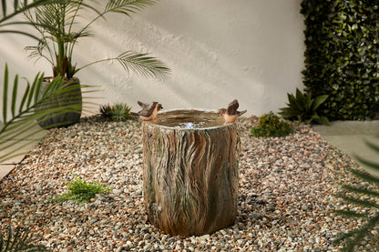 Bird Spring
