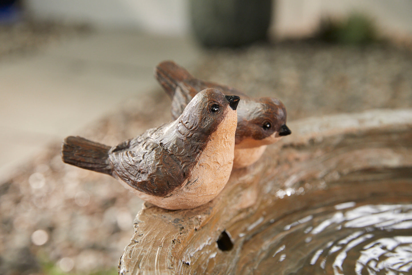 Bird Spring