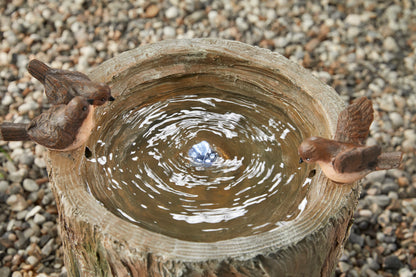 Bird Spring