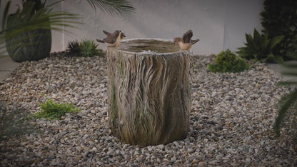 Bird Spring